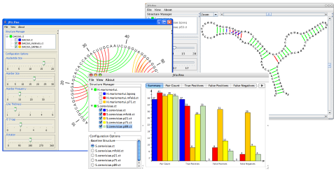 Three views of jViz.Rna