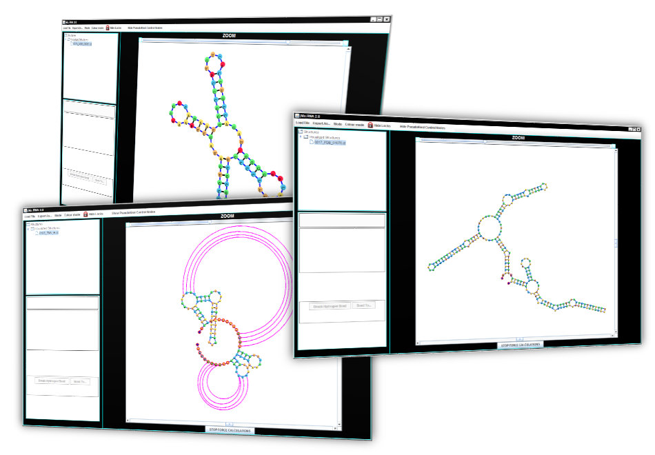 Three views of jViz.Rna